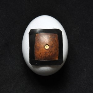 pinhole egg camera