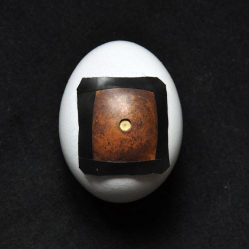 pinhole egg camera