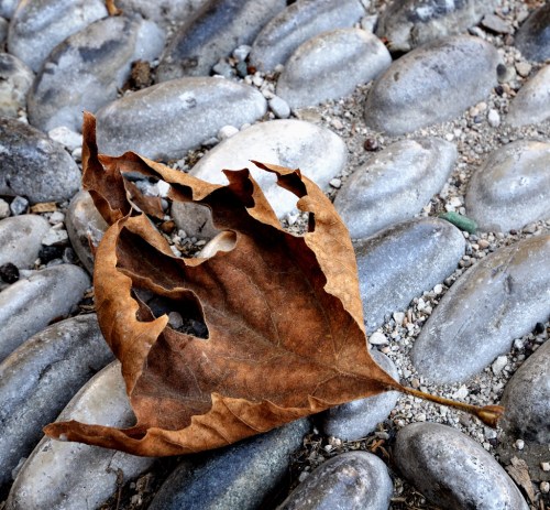 Piccolo omaggio a Man Ray