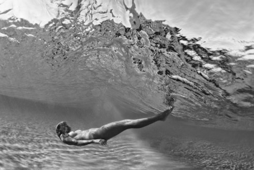 The turtle glide - © Copyright Trent Mitchell 