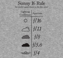 sunny F16 rule