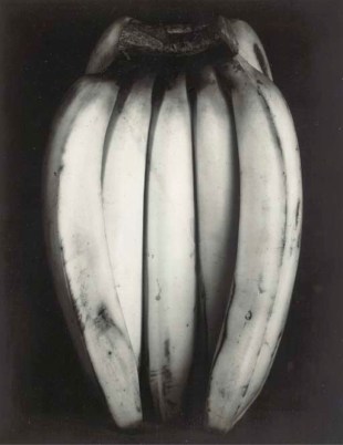 Bananas Edward Weston 