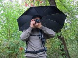 umbrella_photographer