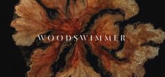 woodswimmer