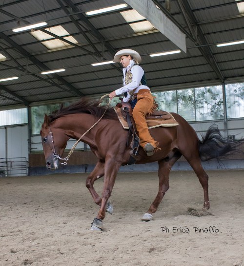 vaquero dressage