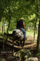 Mountain trail - Copyright 2017, Erika Greta